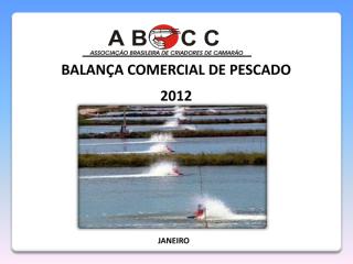 Balança comercial - 2012.pdf
